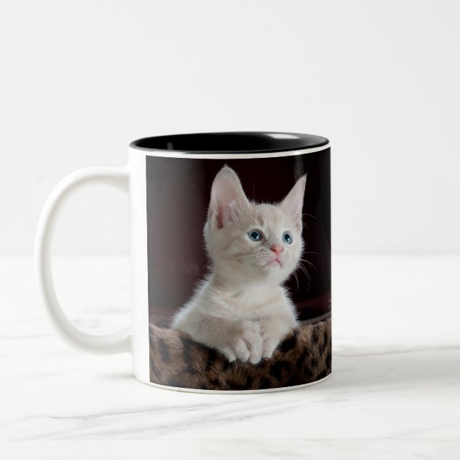 Café Em Dois Tons caneca dupla de gato (Esquerda)