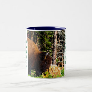 Café Em Dois Tons Caneca II do parque estadual de Custer