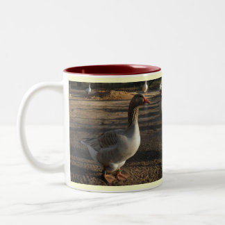 Café Em Dois Tons Caneca "outono " das aves aquáticas de Silver