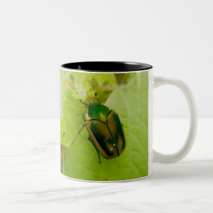 Café Em Dois Tons Caneca verde do besouro de junho