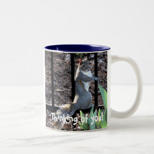 Café Em Dois Tons DS que pensa de você! caneca do esquilo