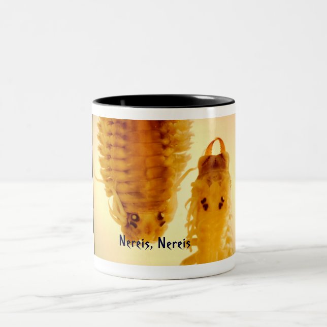 Café Em Dois Tons Nereis, caneca de Nereis (Centro)