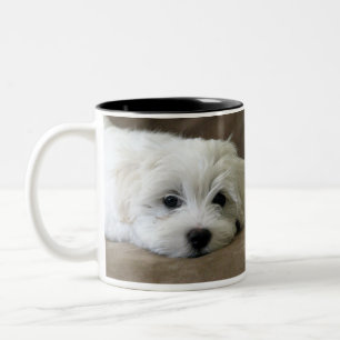 Café Em Dois Tons O filhote de cachorro Eyes a caneca feita sob