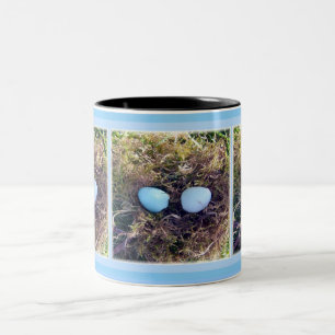 Café Em Dois Tons O pisco de peito vermelho vazio Eggs a caneca
