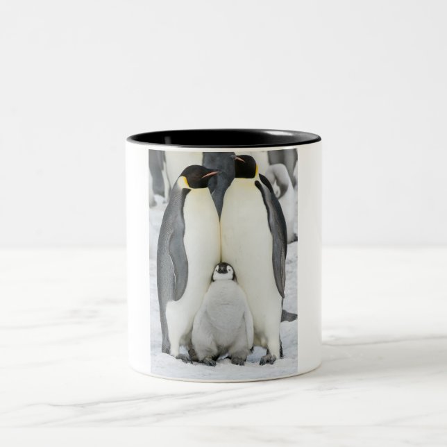 Café Em Dois Tons Pinguins de imperador com pintinho - caneca (Centro)