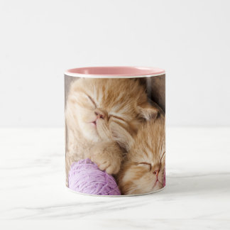 Café Em Dois Tons Preto bonito do gato caneca do Dois-Tom de 11