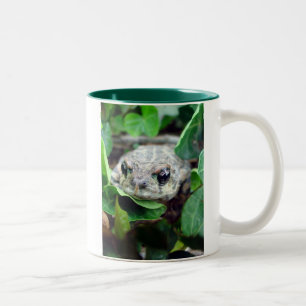 Café Em Dois Tons Ribbit, caneca do Dois-Tom de Ribbit