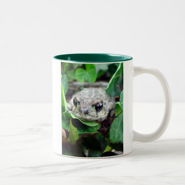 Café Em Dois Tons Ribbit, caneca do Dois-Tom de Ribbit (Direita)