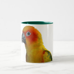 Café Em Dois Tons Sun Conure caneca de 15 onças