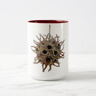 Café Em Dois Tons Tom do vagem 2 de Sweetgum 15 onças. caneca (1 de