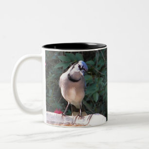 Café Em Dois Tons Tordo dos remedos dos BN e caneca de jay azul