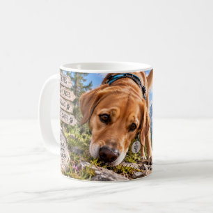 Café Eu Vim Eu Vi Caneca de Fungar