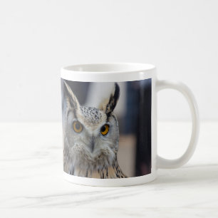 Café Fim da coruja de Eagle do Siberian acima da caneca