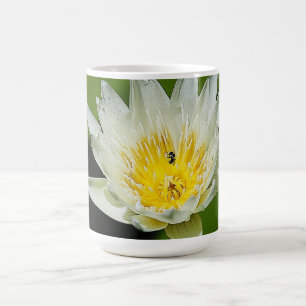 Café Flor lírio de água branca e caneca de abelha fecha