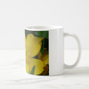 Café Foto de Flor Amarela Caneca Branca Clássica