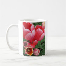 foto de flores de tulipa rosa vívida - caneca de c