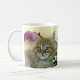 Café Gatinho do racum de Maine da caneca