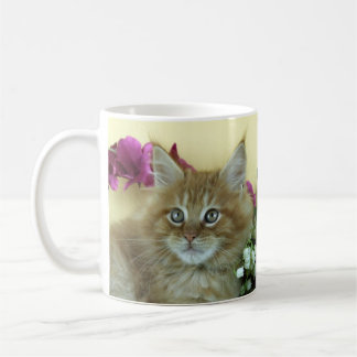 Café Gatinho do racum de Maine da caneca