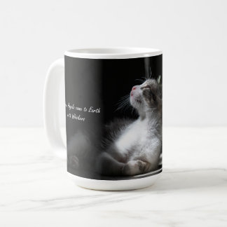 Café Gatos são caneca de gato Angels