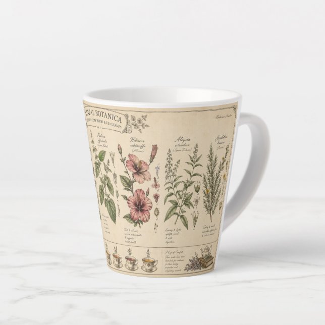 Café Latte Caneca de Ervas Botânicas – (Ângulo direito)