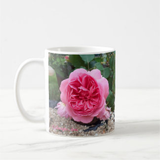 Café Lindo caneca de Rosa Floral do Jardineiro Rosa