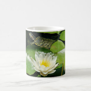 Café Lírio de água & caneca da tartaruga