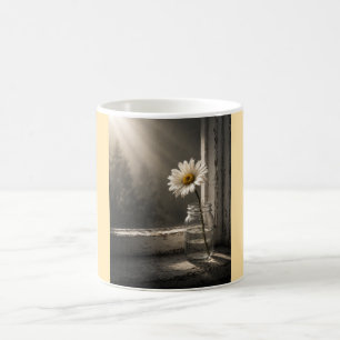 Café Margarida ao Sol em Caneca de Vidro