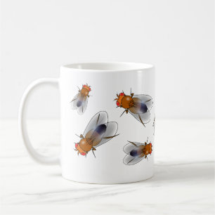 Café Mosca de fruta - caneca do melanogaster da