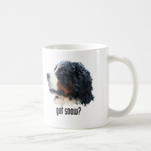 Café neve obtida? Caneca do cão de montanha de Bernese