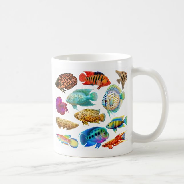 Café O aquário de água doce pesca a caneca (Direita)