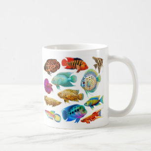 Café O aquário de água doce pesca a caneca