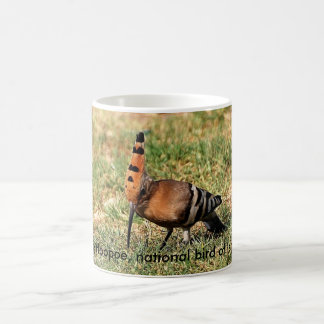 Café O Hoopoe, pássaro nacional de Israel, caneca de