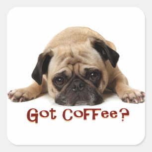 Café obtido? Etiqueta do Pug