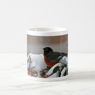 Café Pisco de peito vermelho na caneca da neve