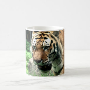 Café Tigre na caneca do jardim zoológico de Bronx