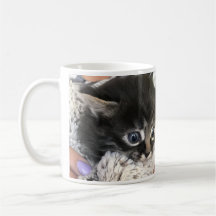 Uau, Eu Admiro Você! Caneca de Gato