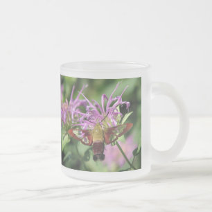 Café Vidro Jateado Caneca da traça de colibri