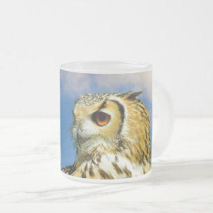 Café Vidro Jateado Caneca de coruja-real Eurasiática
