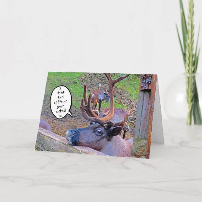 Cafeína de Reindeer amarrada em cartão (Frente)