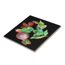 Cair Na Estação De Morango Foto Do Jardim Do Quint