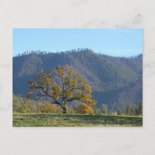 Cair nas montanhas... cartão postal