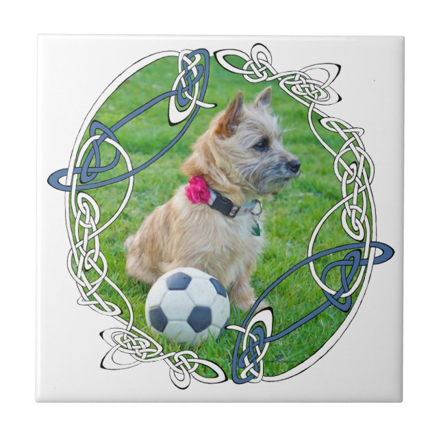 Cairn Terrier Futebol (Frente)