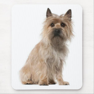 Cairn Terrier Puppy Dog Mousepad