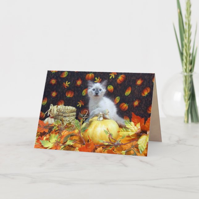 Caiu de Savannah (Cat / Kitten) / Cartão de Ação d (Frente)