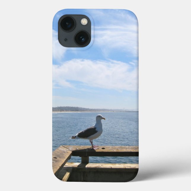 Caixa cénico do ar do iPad da gaivota mal lá (Verso)