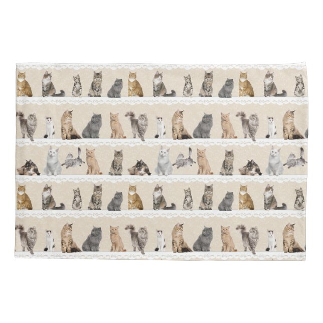 Caixa coleccionável do travesseiro dos gatos (Verso)