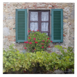 Caixa da flor na janela