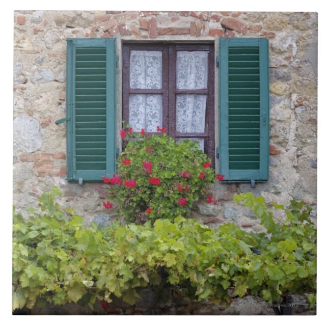 Caixa da flor na janela (Frente)