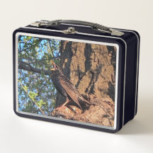 Caixa de Almoço de Ave