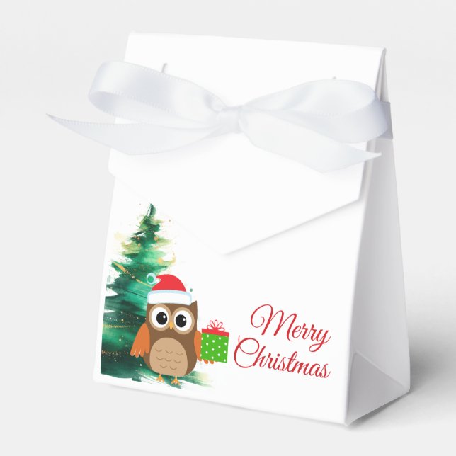 Caixa de Favor com Coruja de Natal Fofo com Chapéu (Frente)